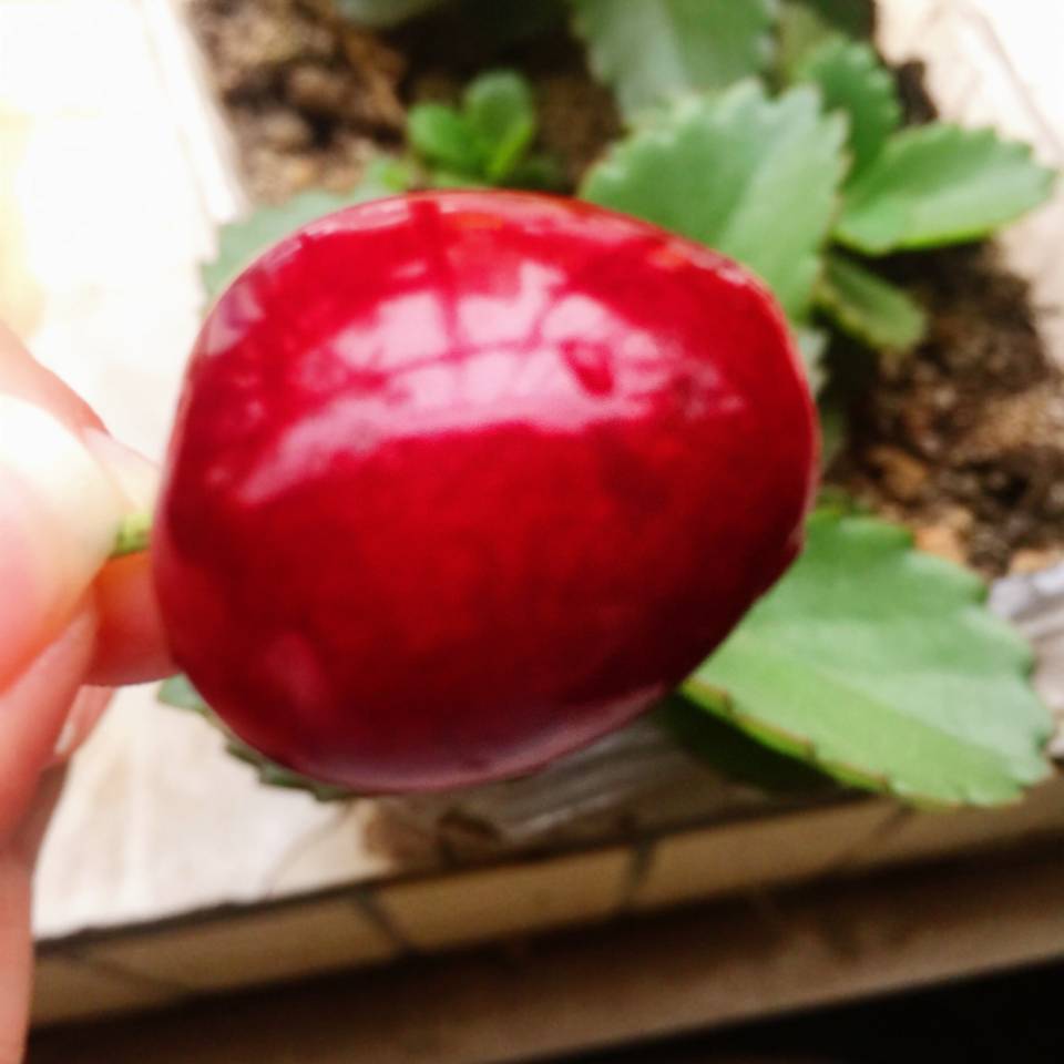 用戶頭像