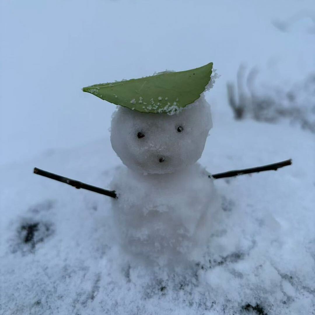 阿青你支棱起来