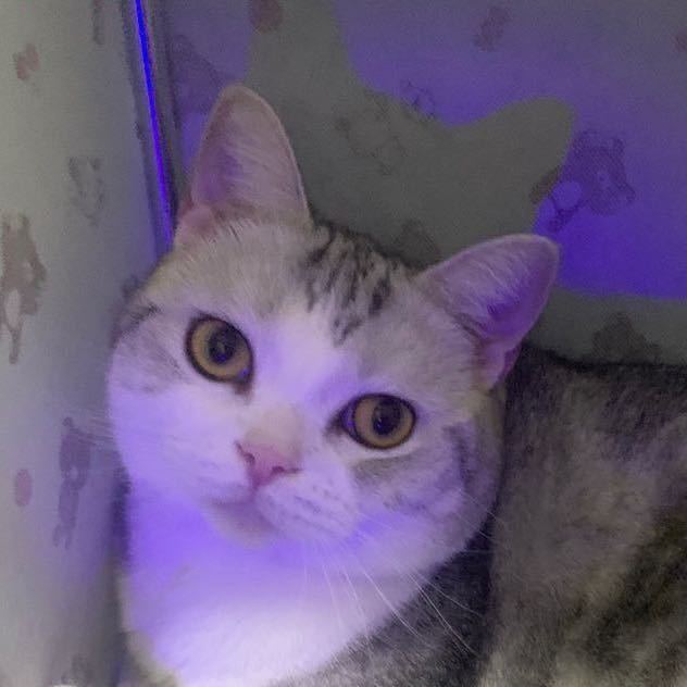 哎呀呀！คิดถึง 