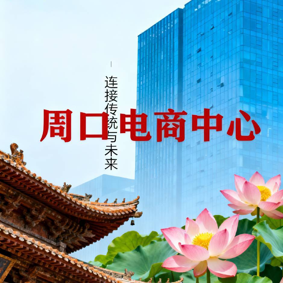 周口电商中心