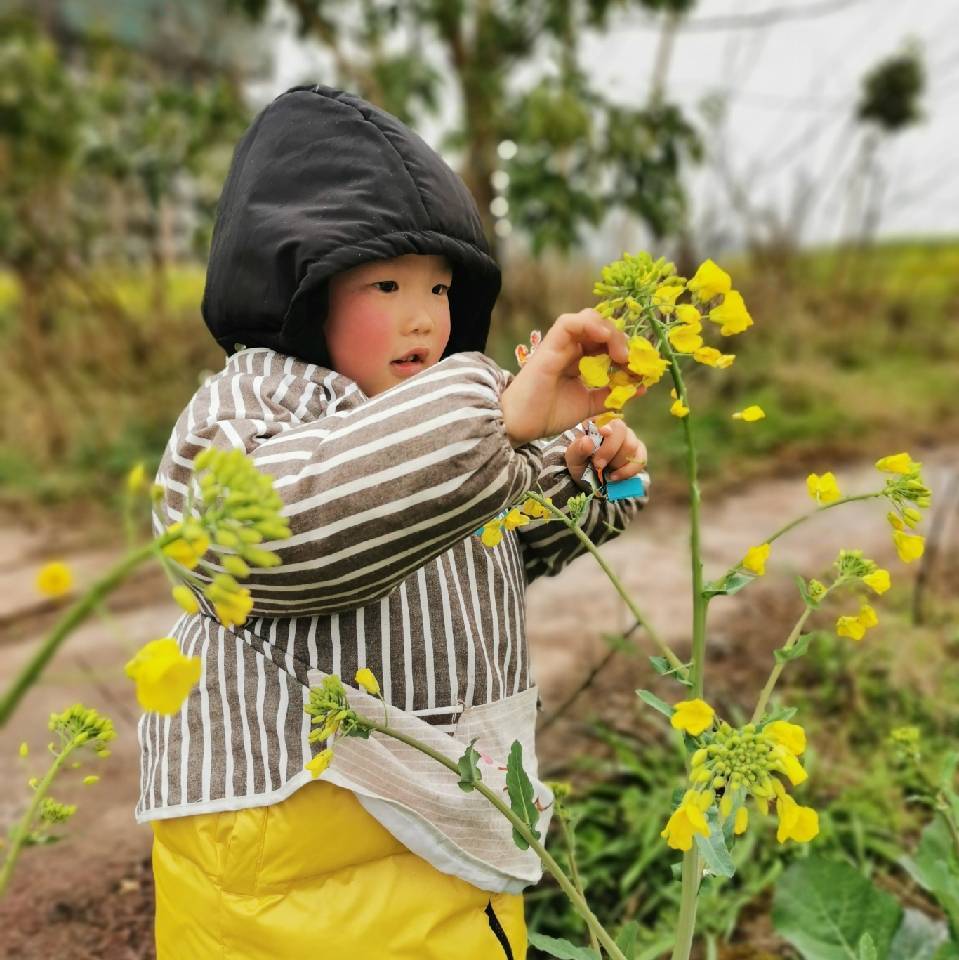 李巧