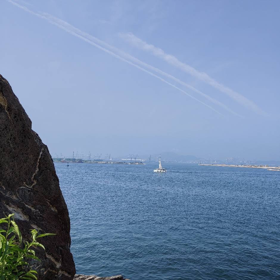 起舞