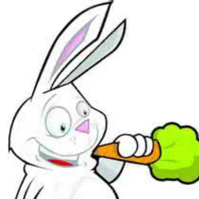 兔子只吃胡萝卜