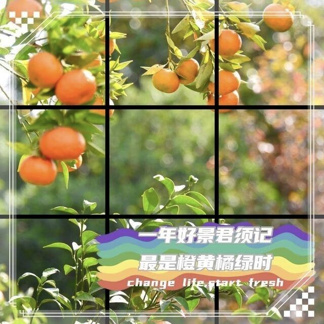 泰山神韵678