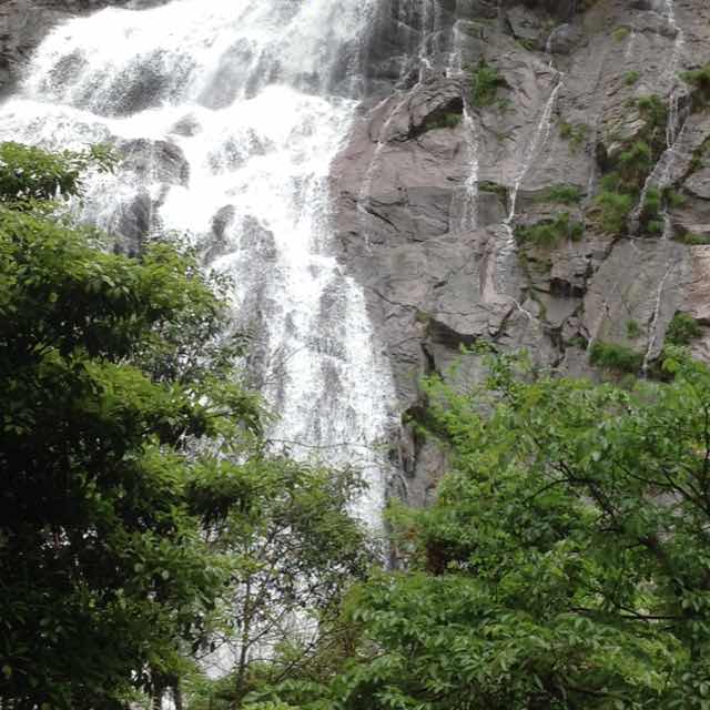 田士威
