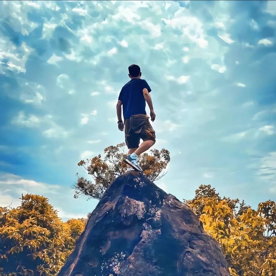 💦淼淼🌲森森💦