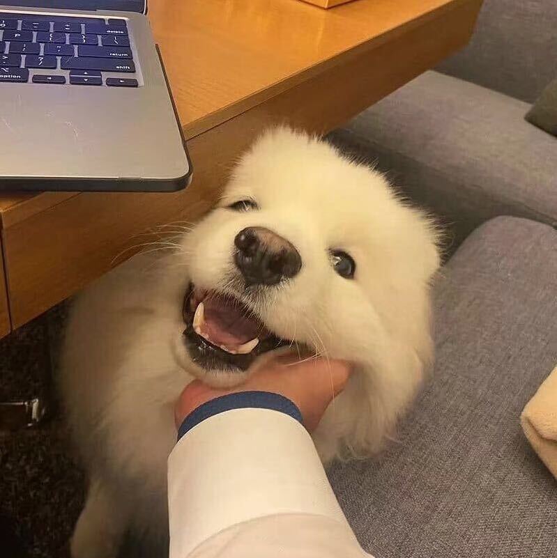 银海