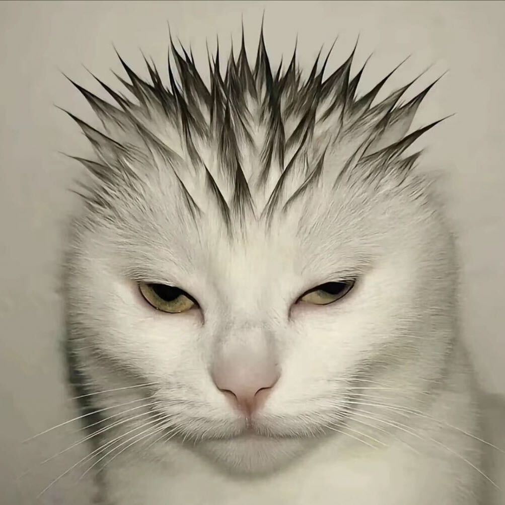 石头