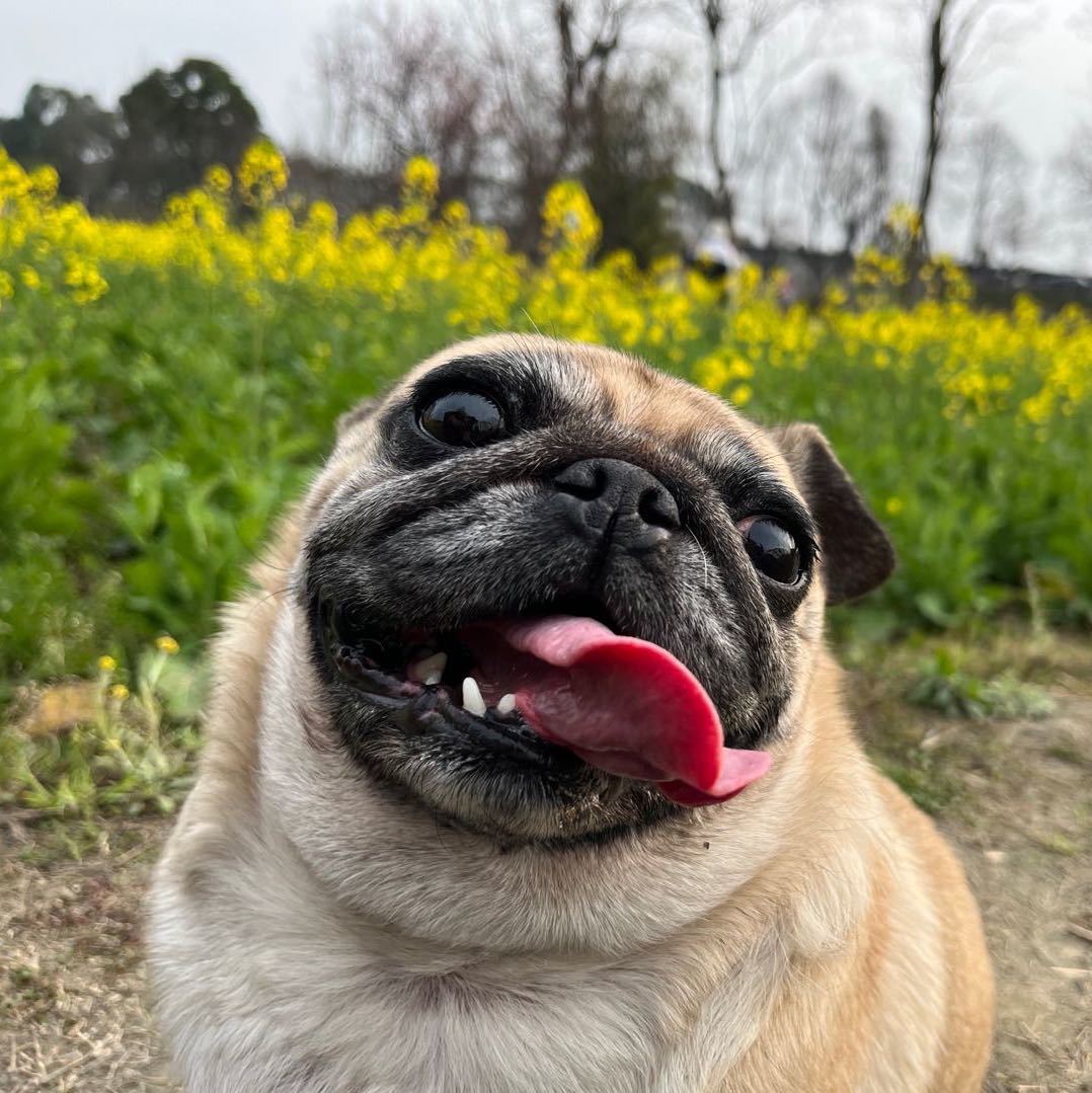 sunny