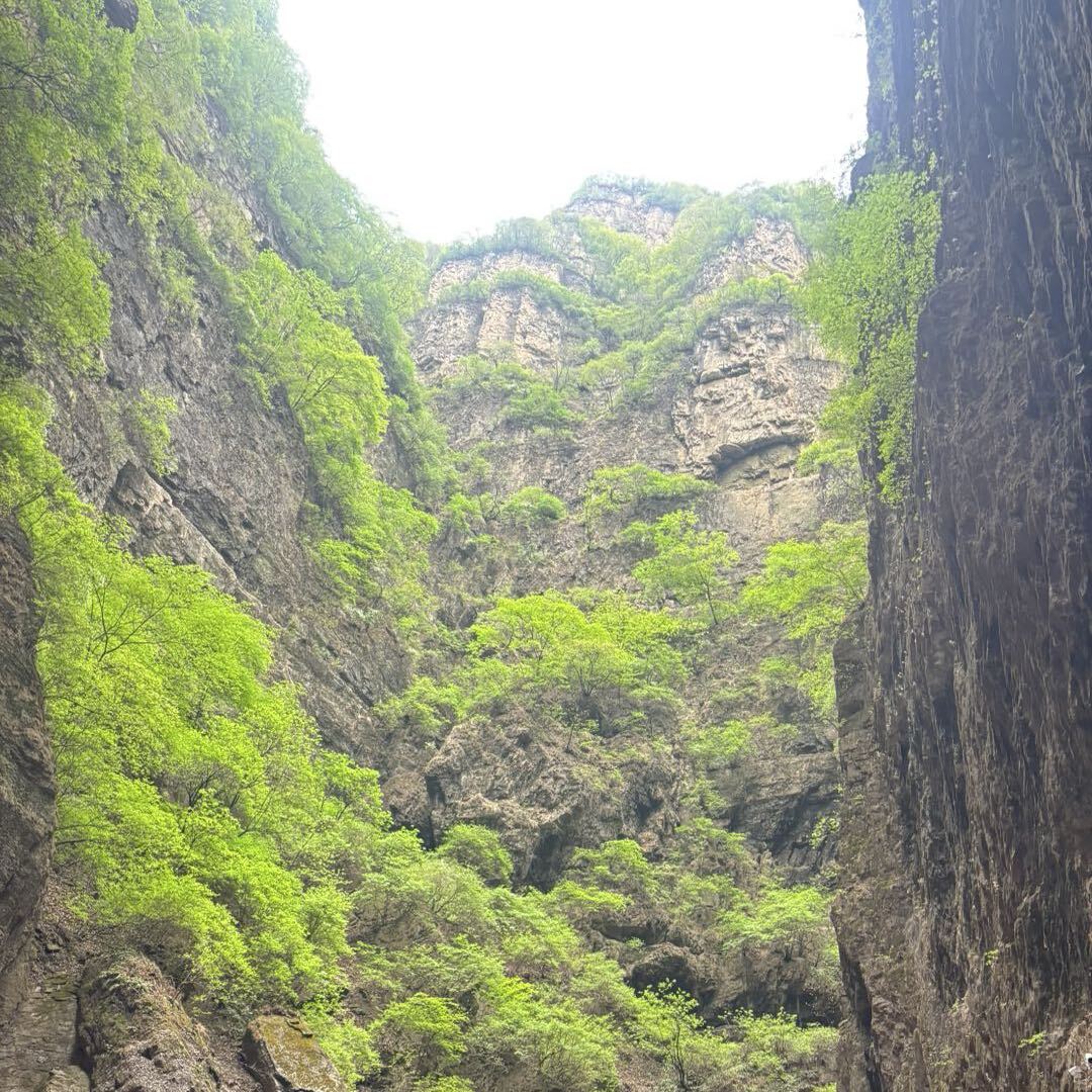 蚊子别叮我