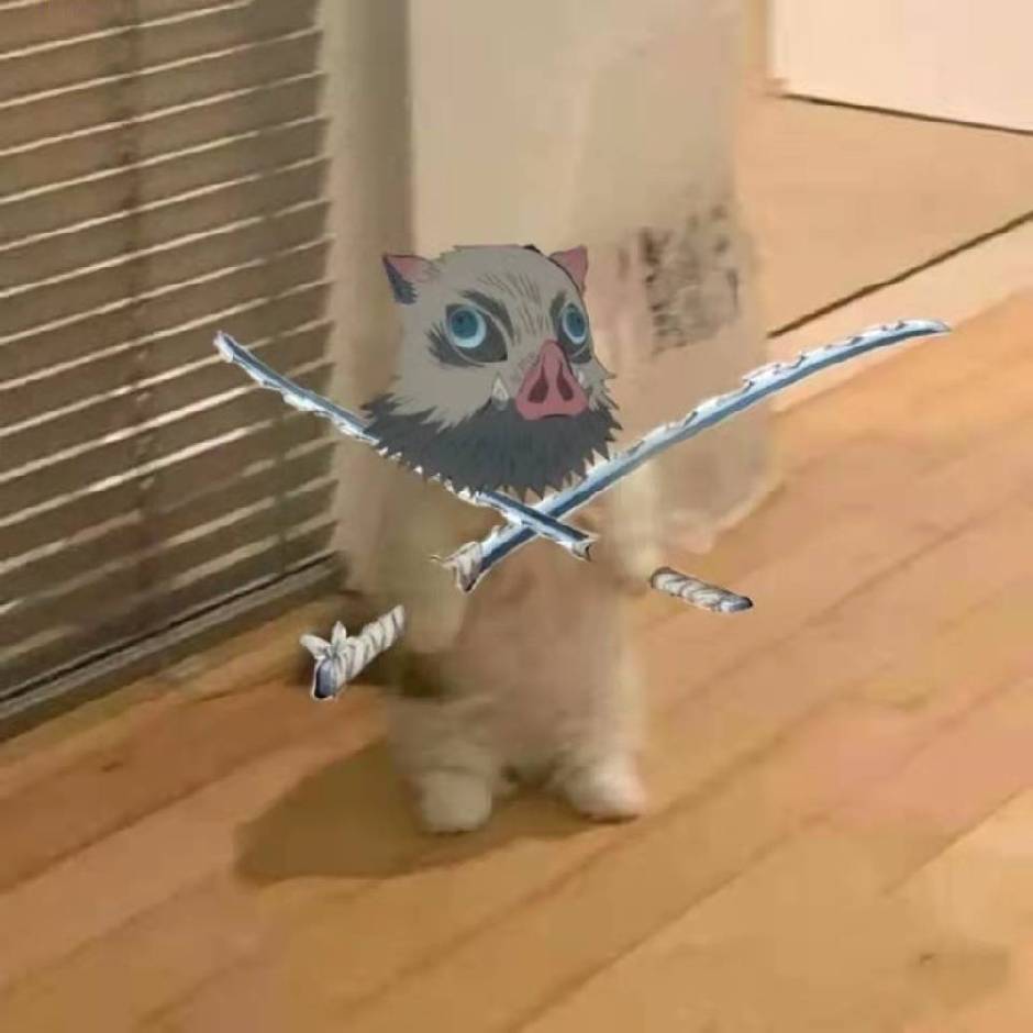 wn.