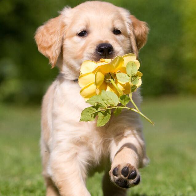 定个小目标(80公斤！戒晚饭)