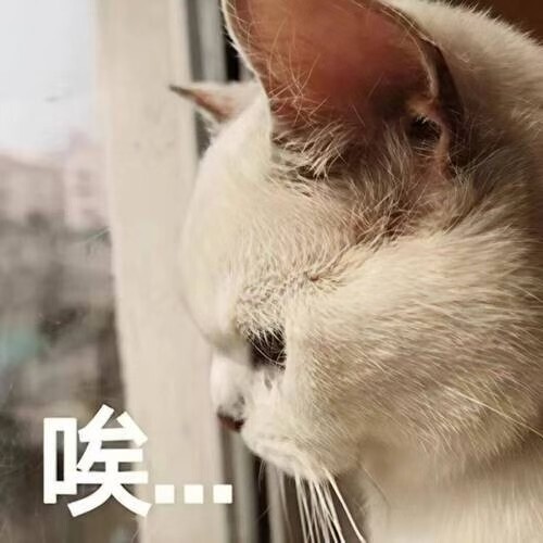 盛夏光年