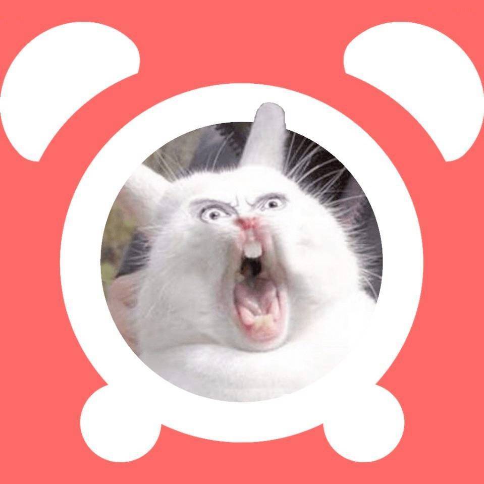 🎈肥兔