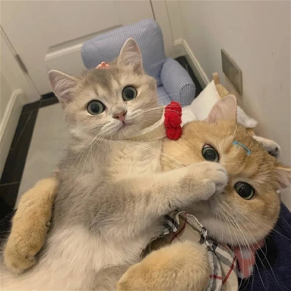 余存