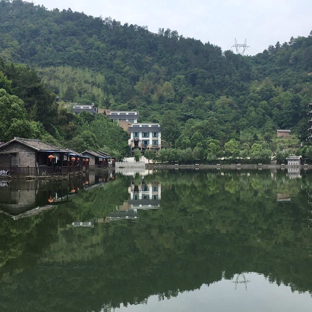 陈风破浪