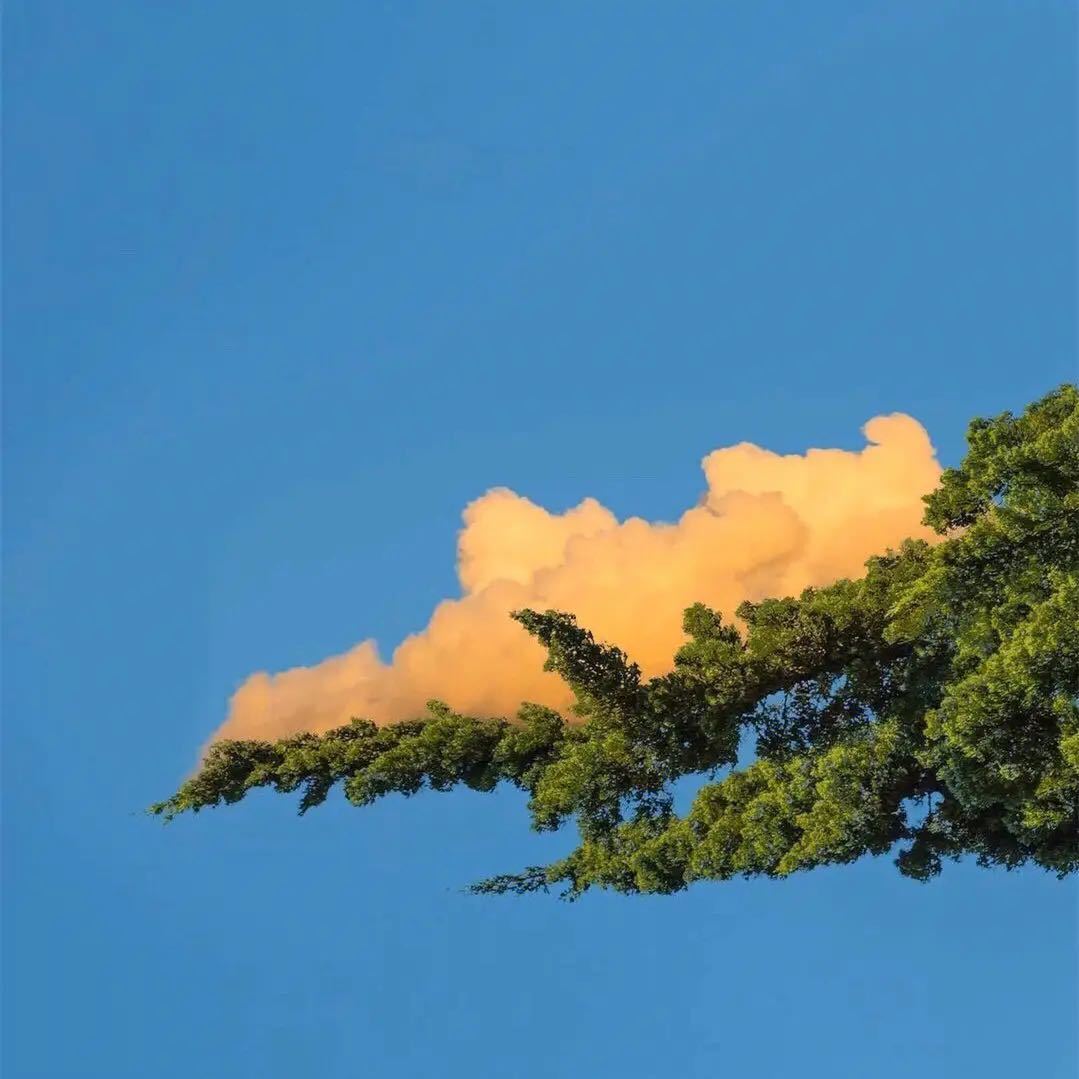 物联网APP小程序软件开发-吴启磊