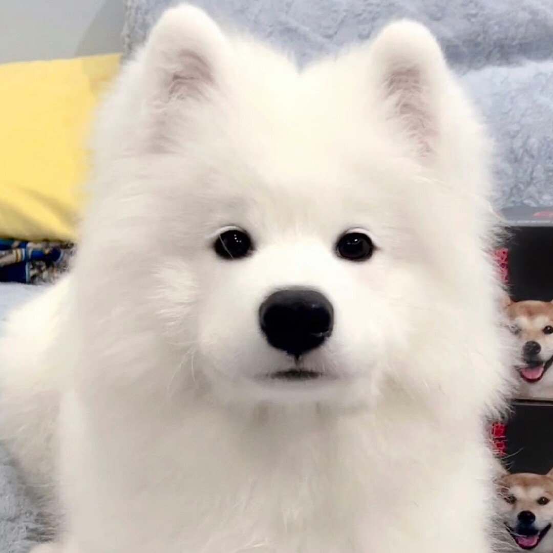 春逝