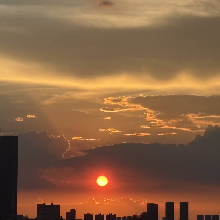 愿