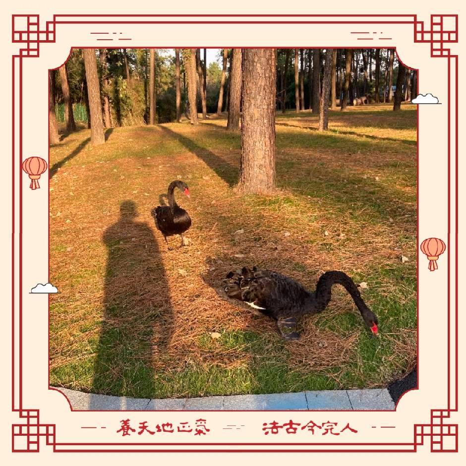 沐楠