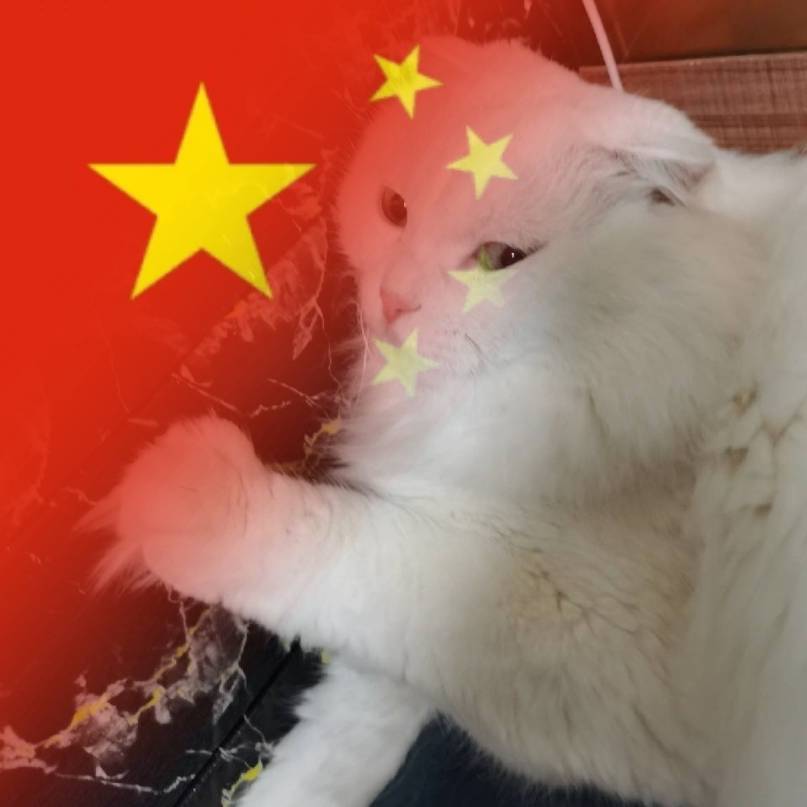 搂猫睡觉的鱼ᯤ⁶ᴳ