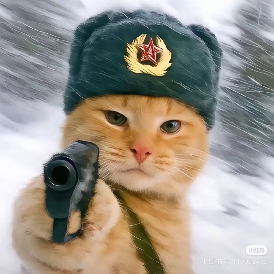射击虎²⁰²⁶