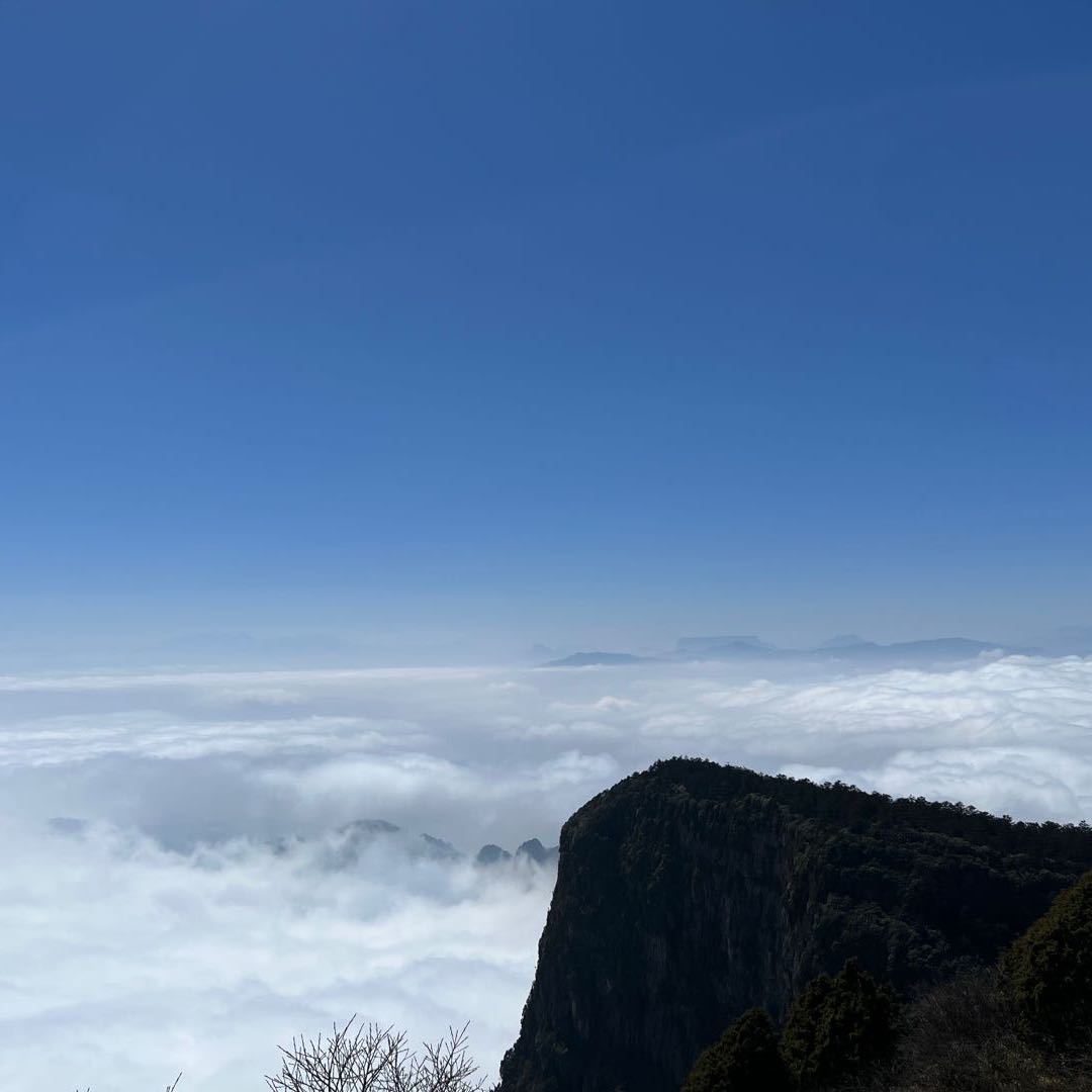 刘东昊