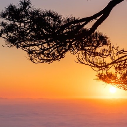 舒明武：创意策划家、作家、诗人