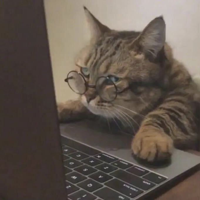 梦想天空分外蓝