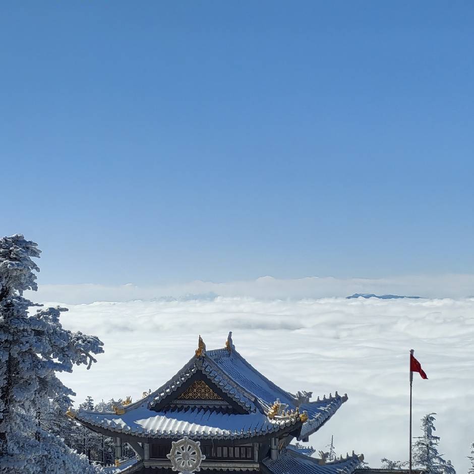 戚洪涛