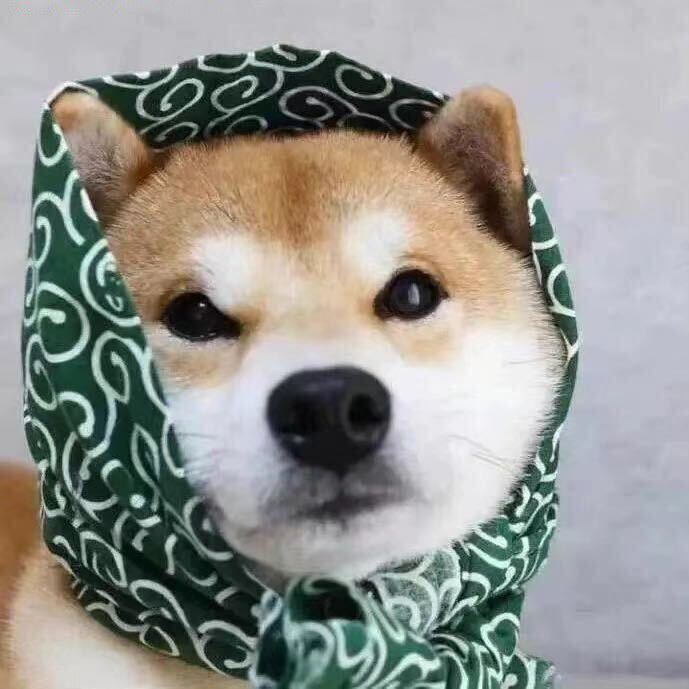 请叫我俊哥