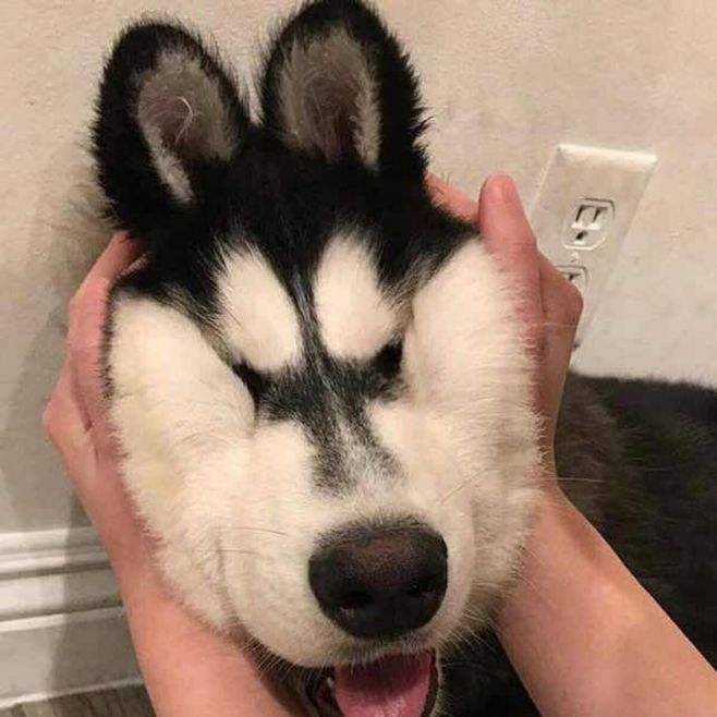 睡觉💤