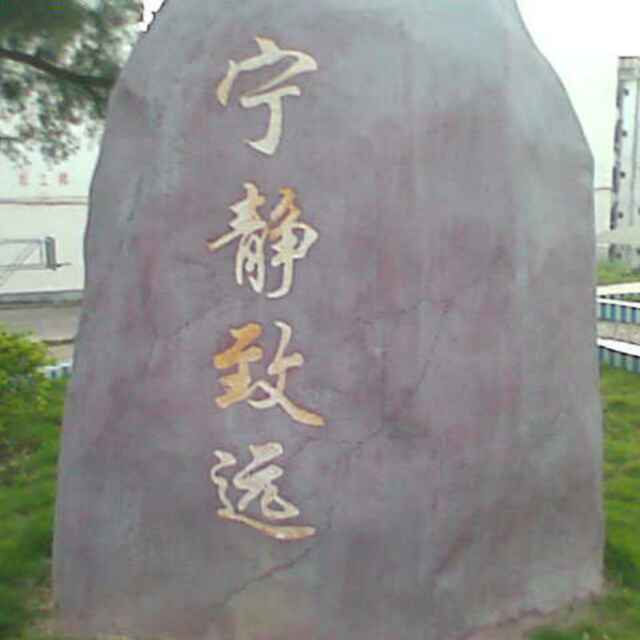页疑