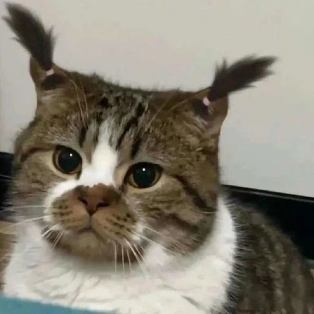 毕腾骄