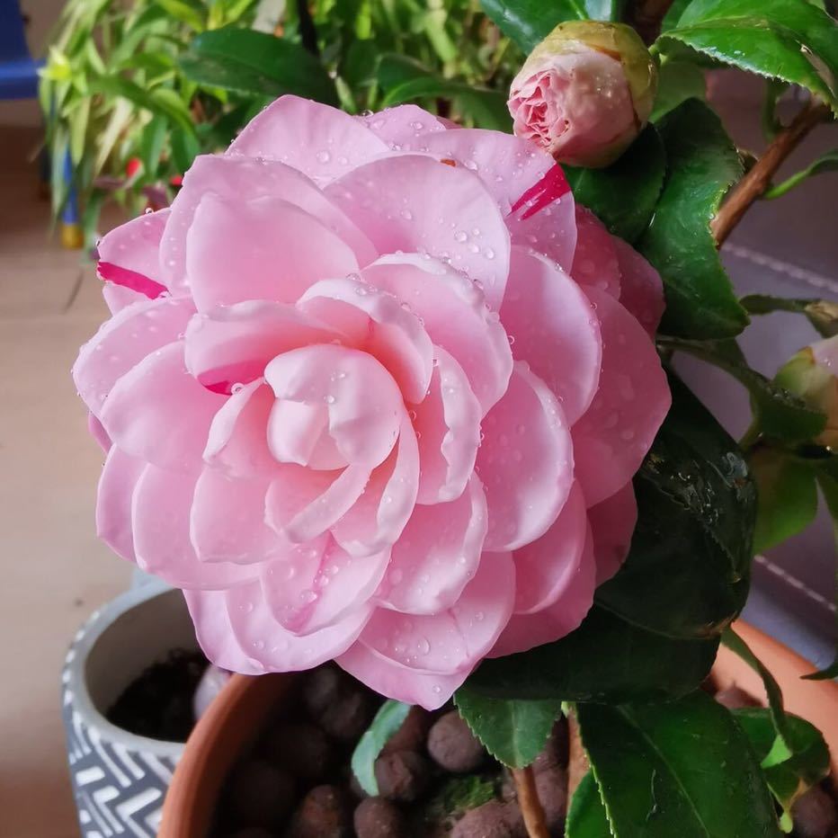 躲在安静的角落