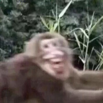 钮祜禄·捞得一