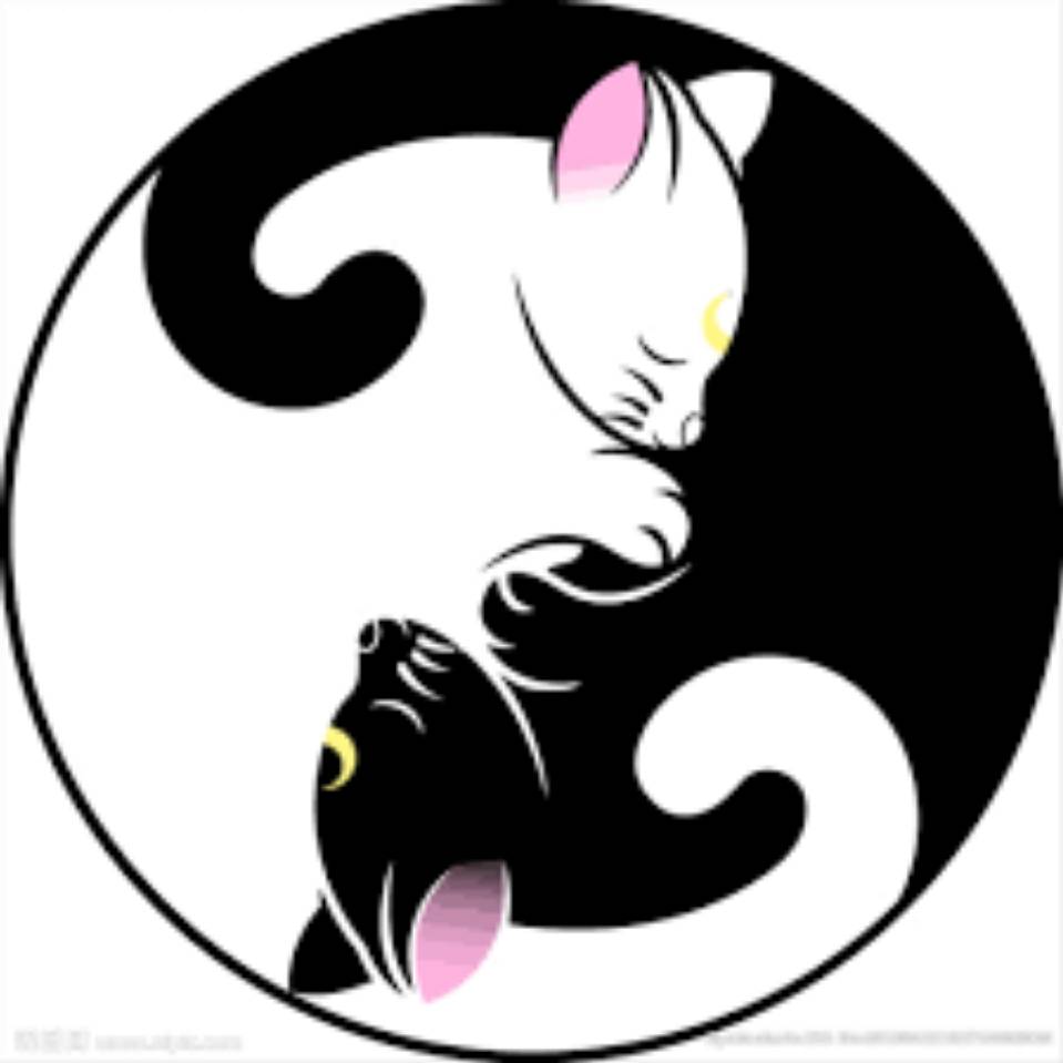 木鱼