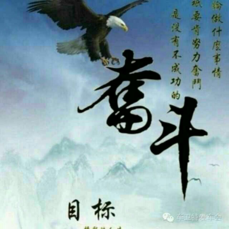 雄鹰