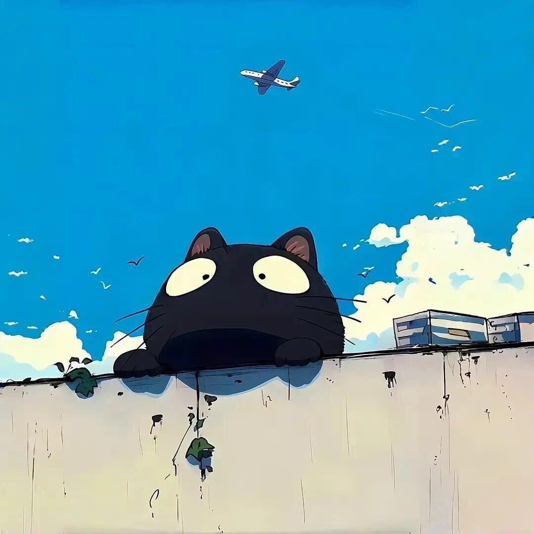 寒叙