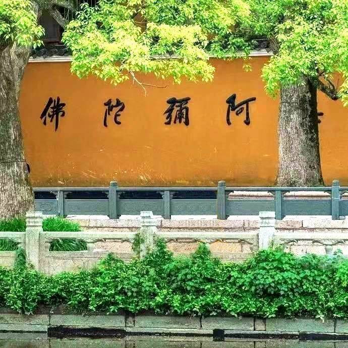 普陀山法明
