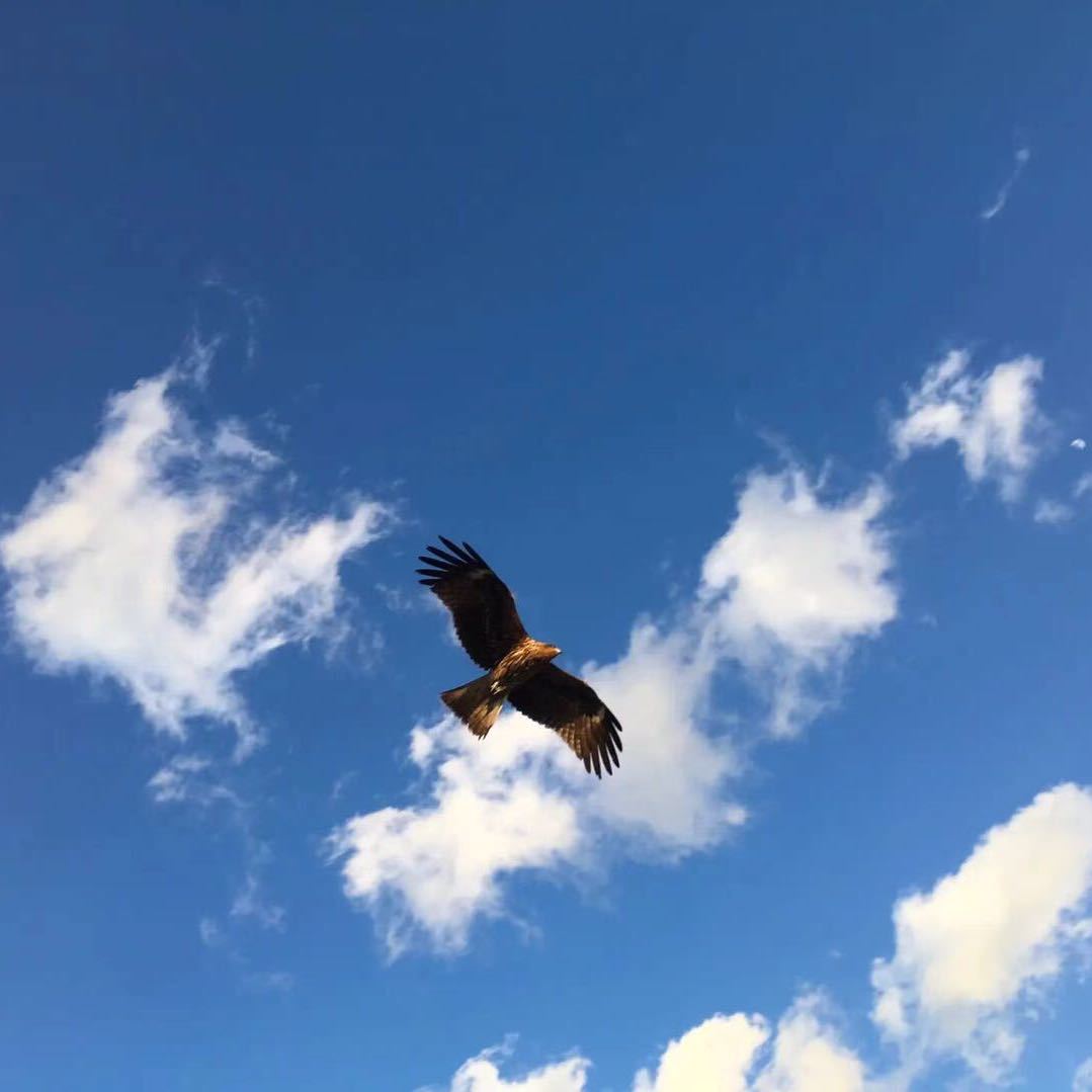 海阔天空