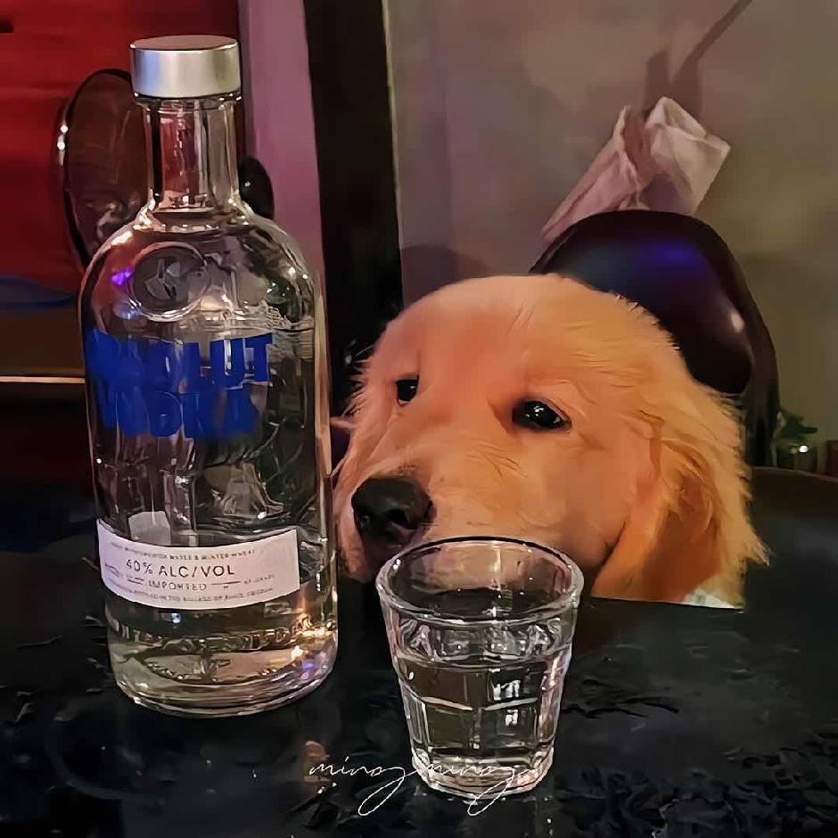 穆清