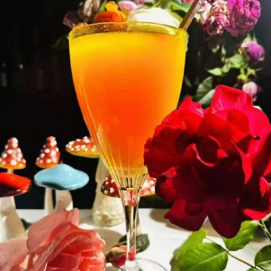 银妹，德国PM营养品营销