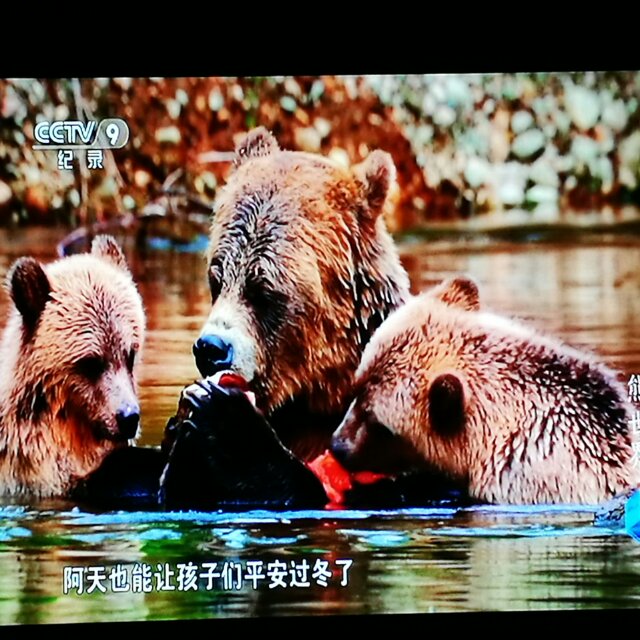 用戶頭像