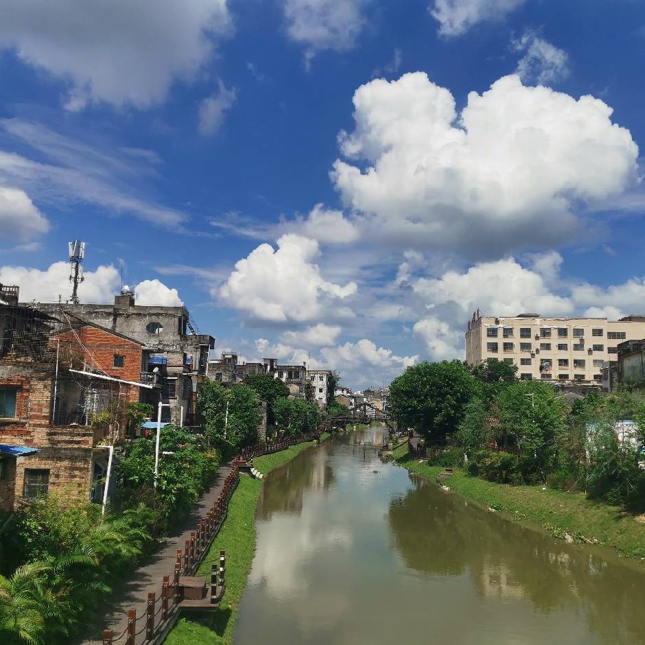 庄梦鸥