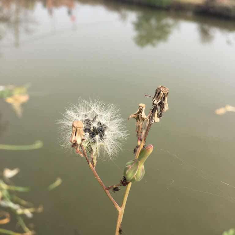 用戶頭像