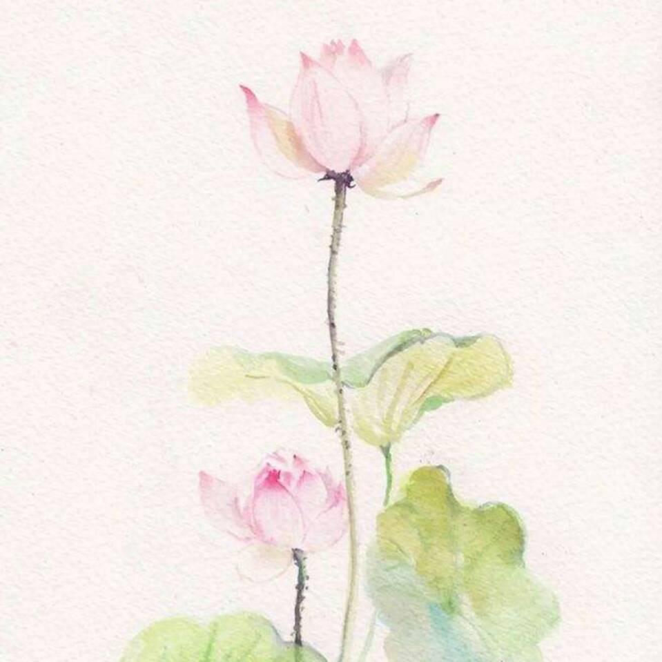 任正非正传
