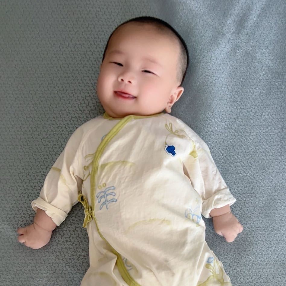 蓝兔