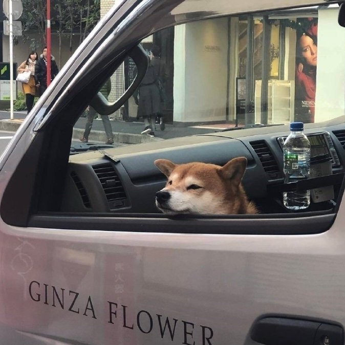 你不是真正的快乐