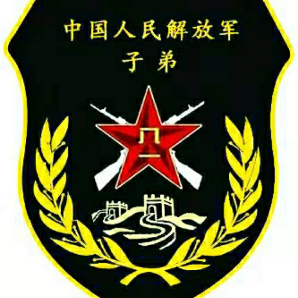 军军18963958681